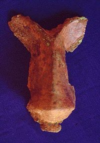 Nase einer anthromorphen Plastik (Grab 98.B.01)