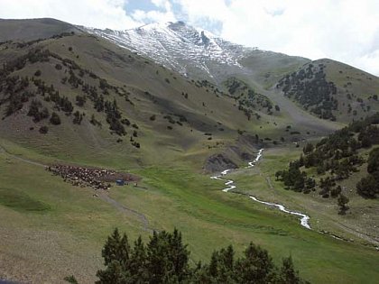 Figure 4: Summer pastures in the upper Hoki Safed valley

