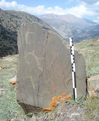 Figure 12: Stone boulder with petroglyphs from the Novoli valley
