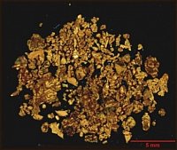 Eluviales Seifengold (0,7g Au aus 50 kg Hangschutt)
(Foto: D. Wolf , Halle)
